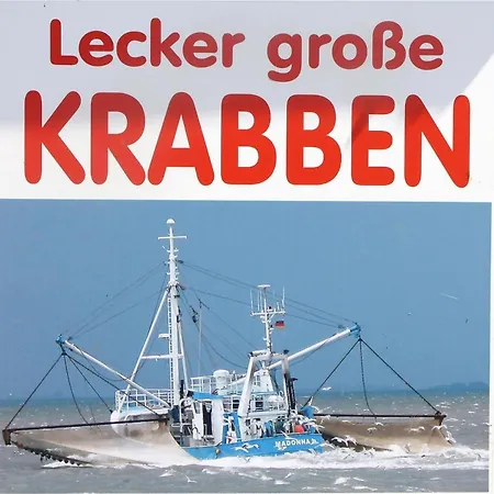Ferienhaus In Neukirchen Nahe Sylt Strand * Neukirchen (Nordfriesland)